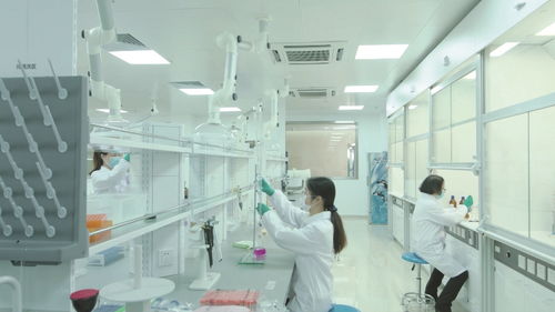 擴大檢測能力，深化企業服務 市食藥檢科院打造嵌入式服務金名片